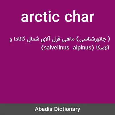 معنی arctic char